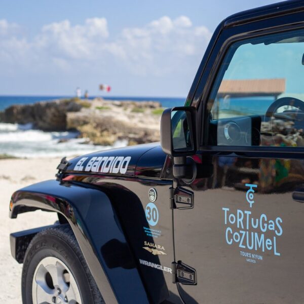 The Original Jeep Tour Revamped (Private)